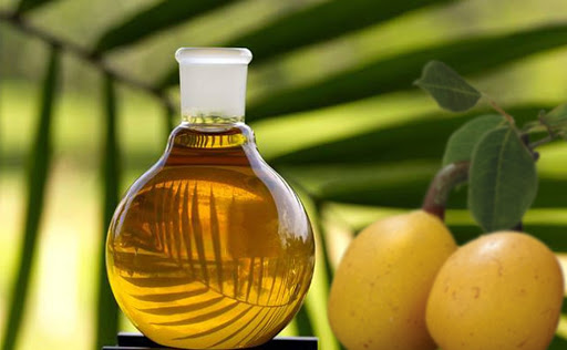 Best Marula Oils Guide for Hair & Skin Care