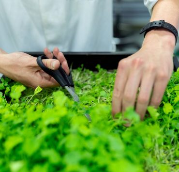 person holding black scissors