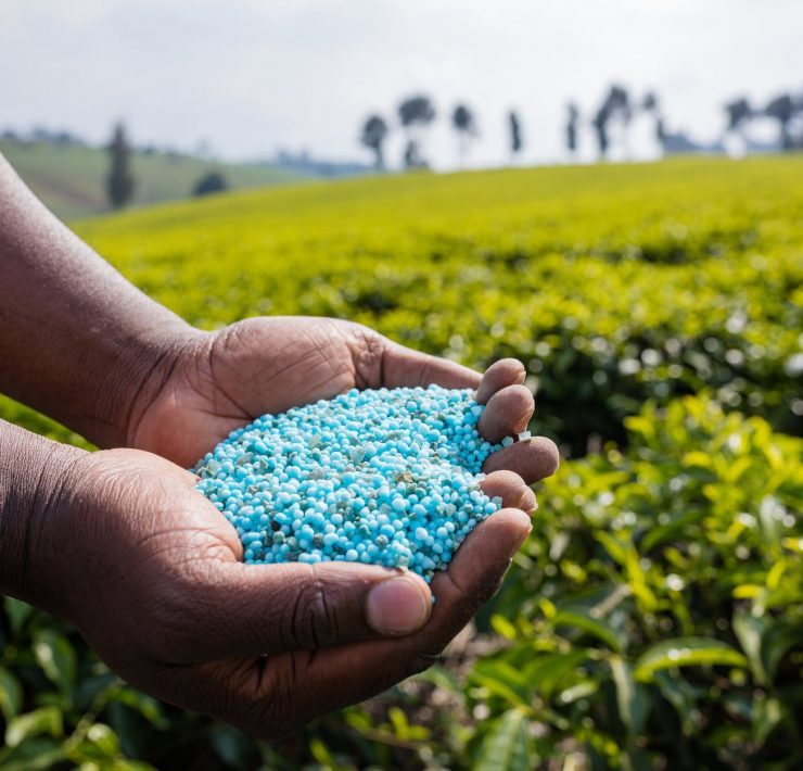 hands holding blue fertilizer