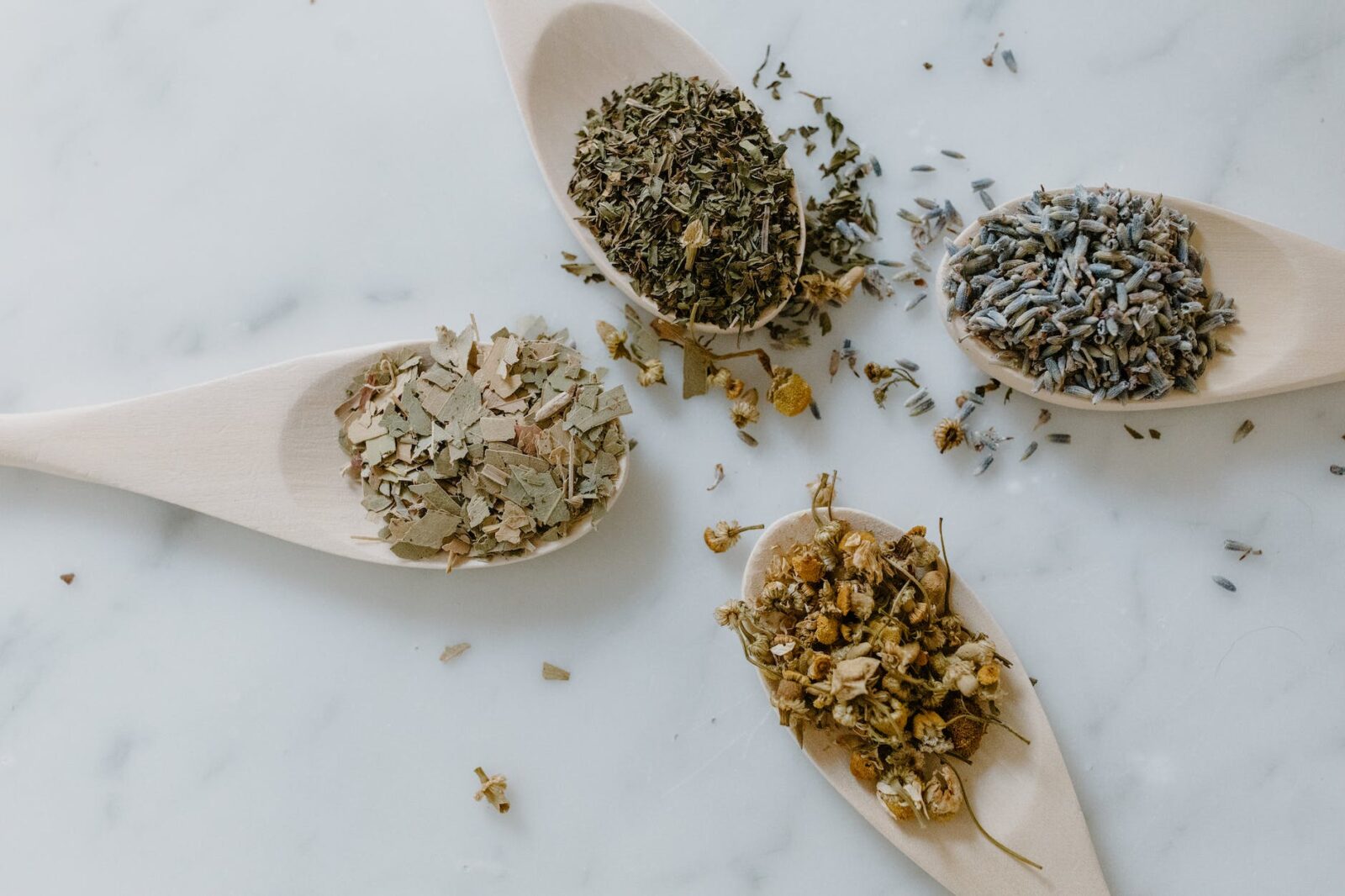 close up shot of herbal medicines on wooden spoons