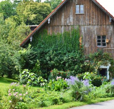brown wooden house beside green trees during daytime