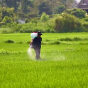 photograph of a farmer spraying green grass