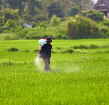 photograph of a farmer spraying green grass