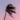 silhouetted palm tree in strong wind at sunset
