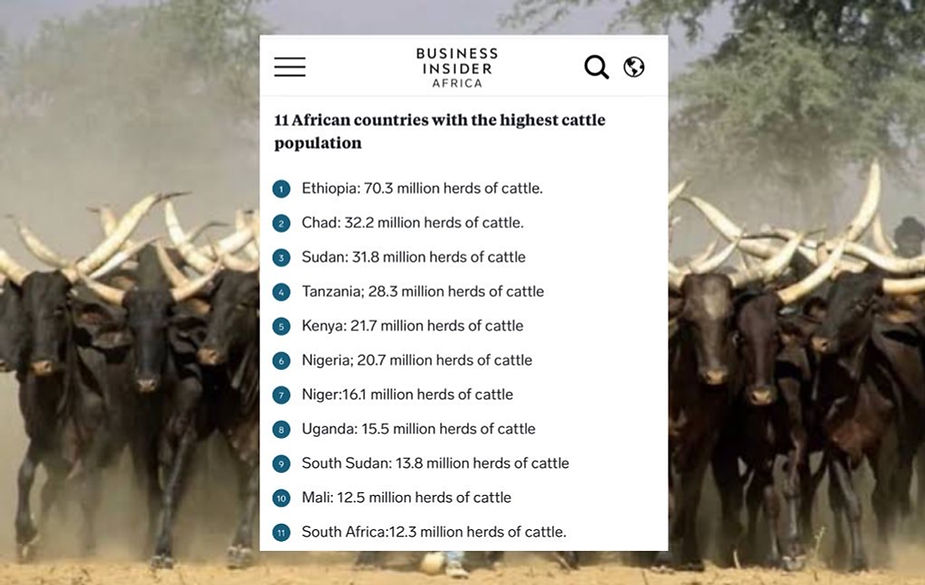 Nations with the biggest cattle herds in Africa 