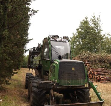 green forestry machine in a woodland area