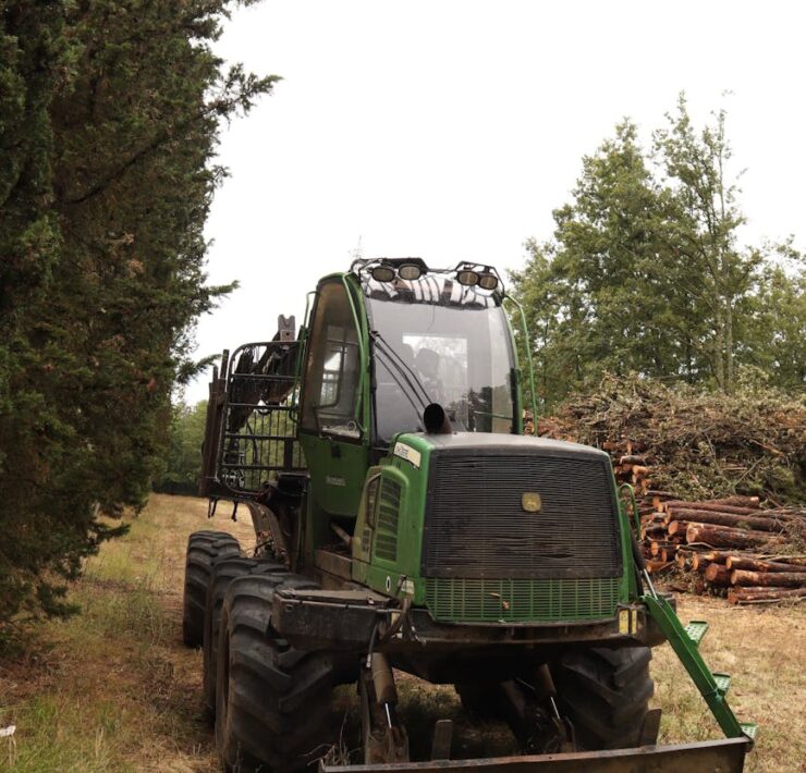 green forestry machine in a woodland area